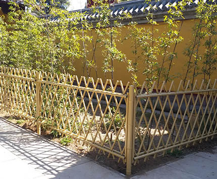 1615363597410944.jpg 33.jpg